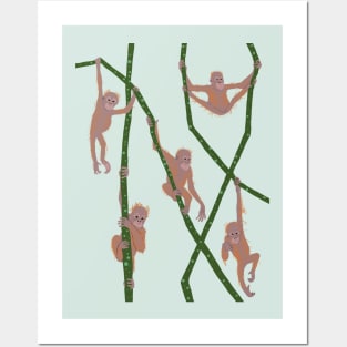 Baby Orangutans Posters and Art